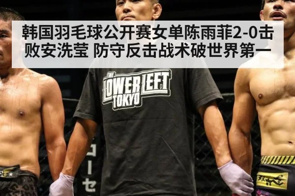 韩国羽毛球公开赛女单陈雨菲2-0击败安洗莹 防守反击战术破世界第一