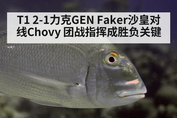 T1 2-1力克GEN Faker沙皇对线Chovy 团战指挥成胜负关键